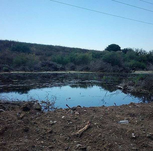 שלולית ענק מאחורי השכונה (צילום: רמי אלגן)